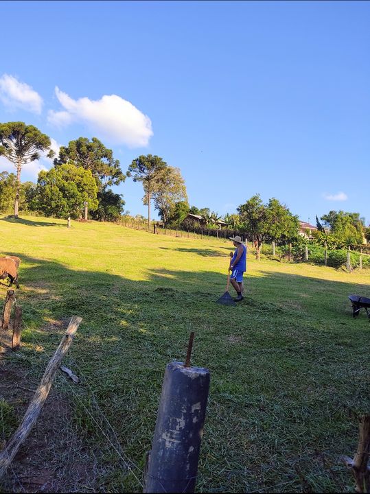 Foto - Estância Velha - Floresta